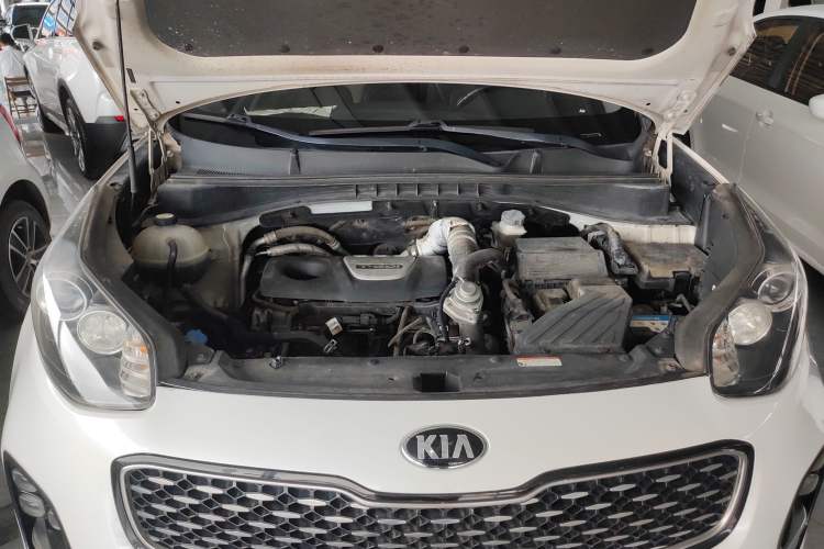 Used Kia KX5 2016 1.6T Automatic Two-Wheel Drive DLX
