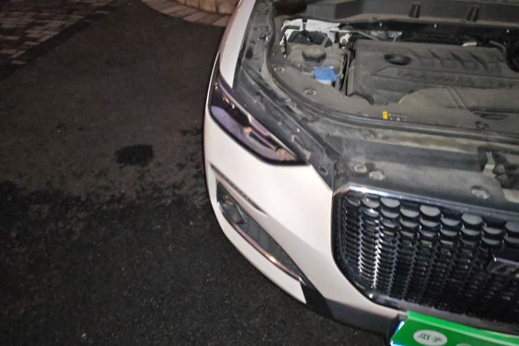 Used Haval F5 2020 1.5T DCT iXuan
