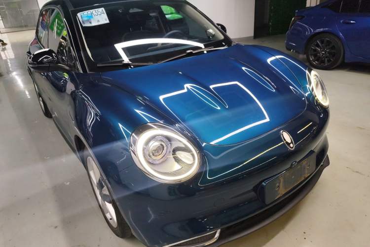 Used ORA Good Cat 2021 500km Long-Range Poseidon Edition Lithium-Ion Battery