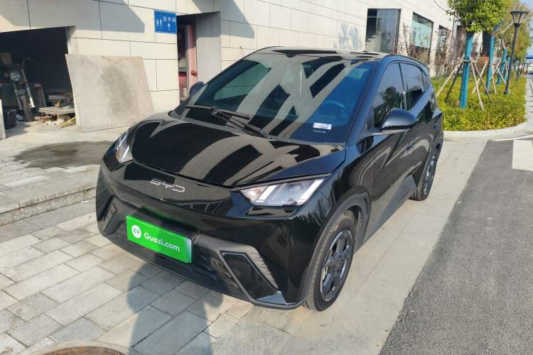 Used BYD Seagull 2023 Flying Edition
