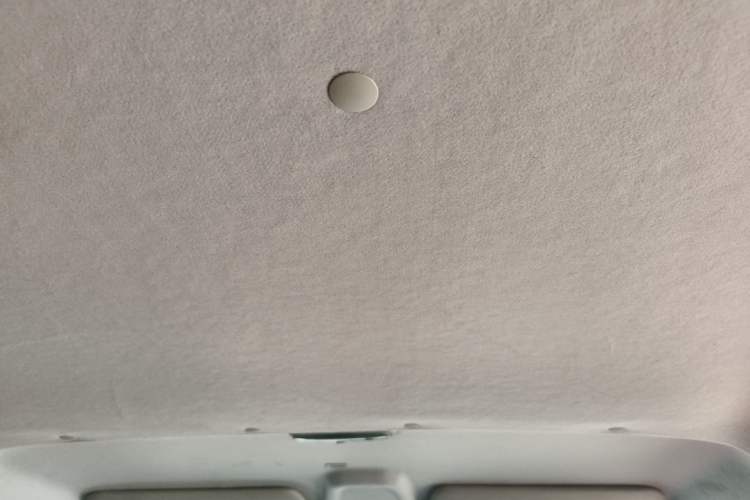 Used Ford Transit 2023 2.0T Diesel Manual Multifunction Commercial Vehicle Short Wheelbase Low Roof 5/6 Seats