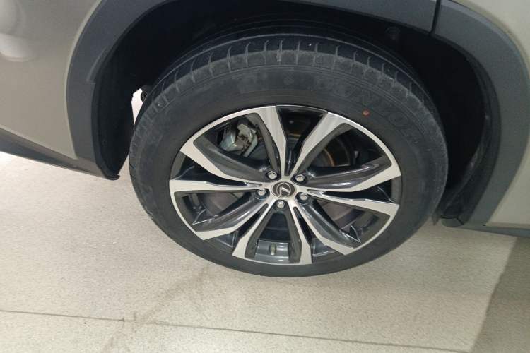 Used Lexus RX 2020 300 4x4 Elegant Edition China VI