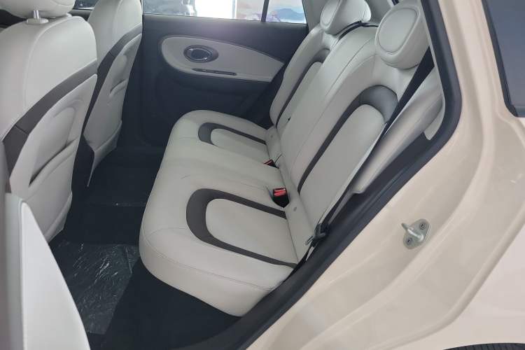 Used  3 2024 Zhi'ai Edition 330km Air
