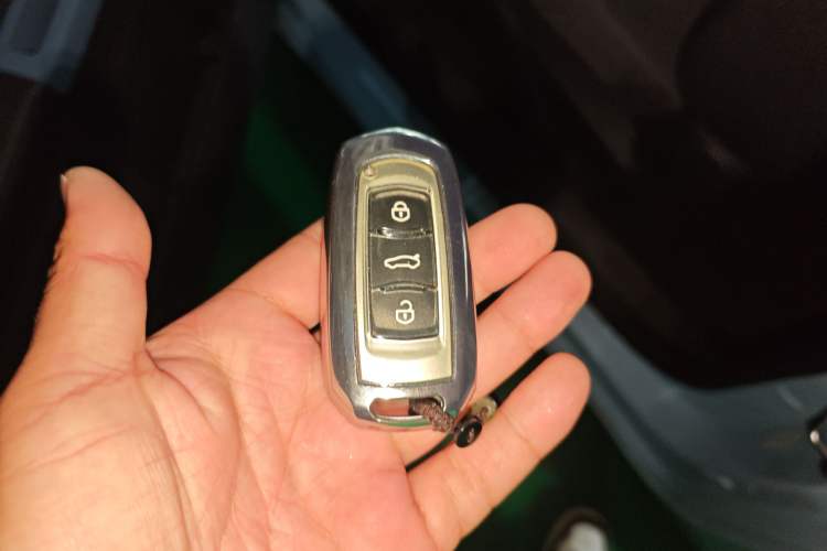 Used  Panda 2023 Panda Mini 200km Endurance Bear