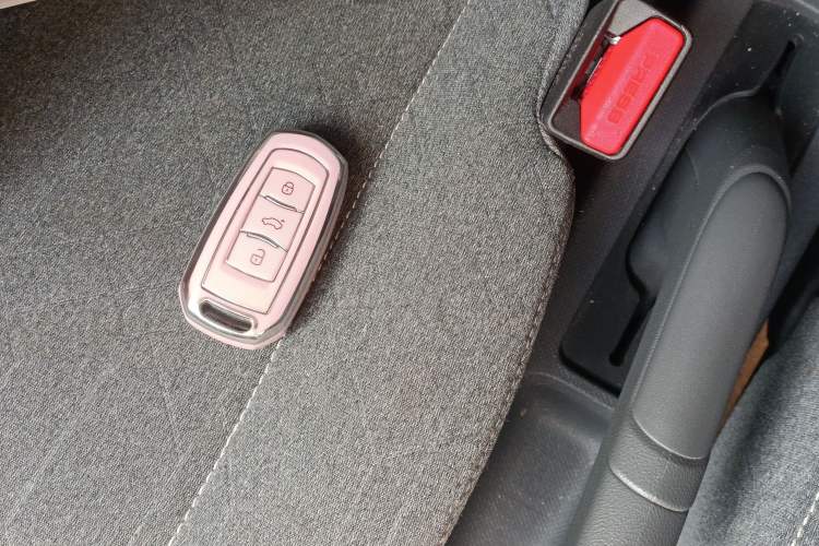 Used  Panda 2024 Panda Mini 200km Endurance Bear
