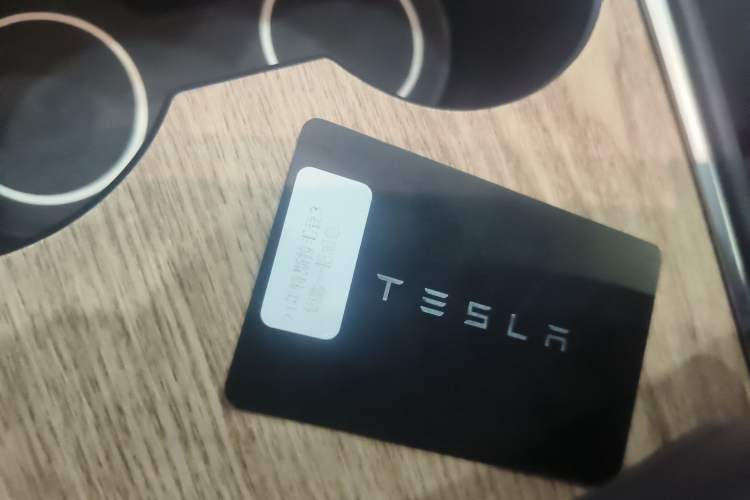 Used Tesla Model 3 2021 Revised Version Standard Range Rear-Wheel Drive Upgraded Edition 3D1