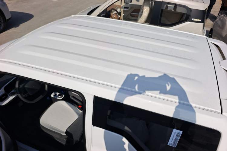 Used  Panda 2025 210 km – Yuanqi Bear
