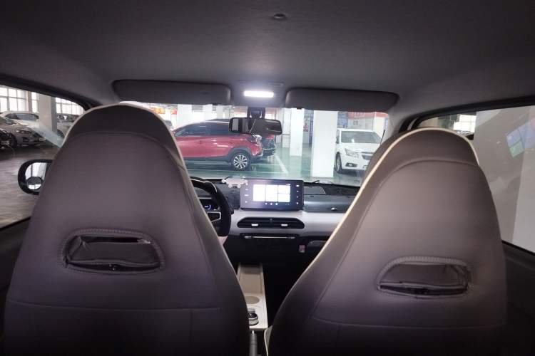 Used  Panda 2024 Panda Mini 200km Endurance Bear
