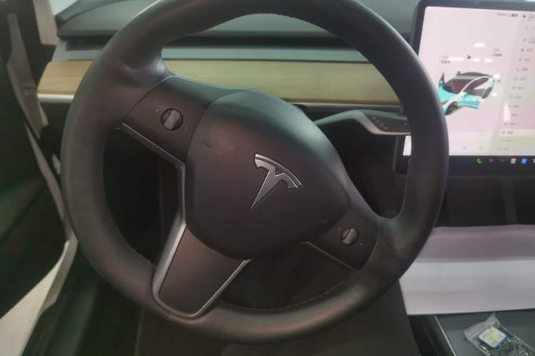 Used Tesla Model 3 2021 Performance High-Performance All-Wheel-Drive Version 3D6
