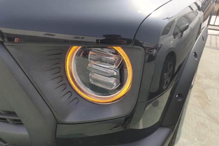 Used Haval DARGO 2024 2.0T DCT Chinese Rural Dog Edition
