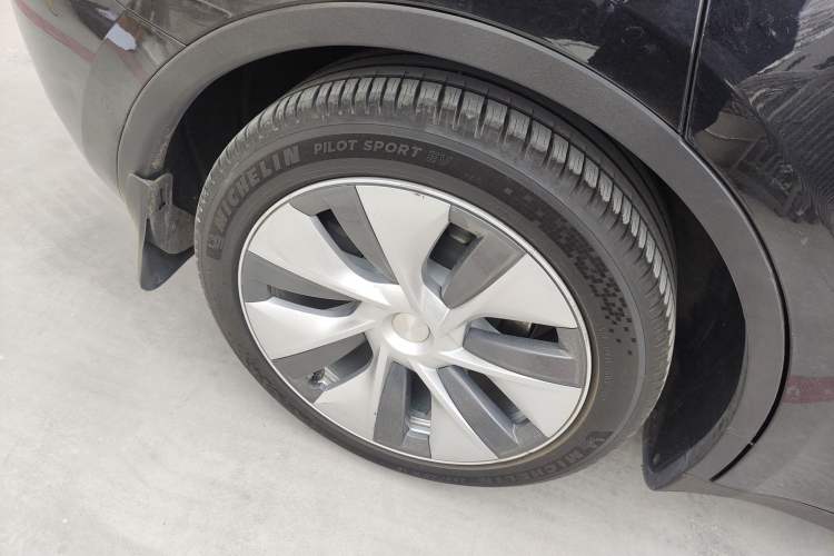 Used Tesla Model Y 2021 Standard Range Rear-Wheel Drive Version