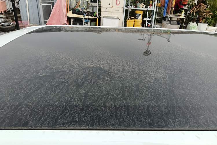 Used  Panda 2023 Panda Mini New Year Edition Treasure Bear