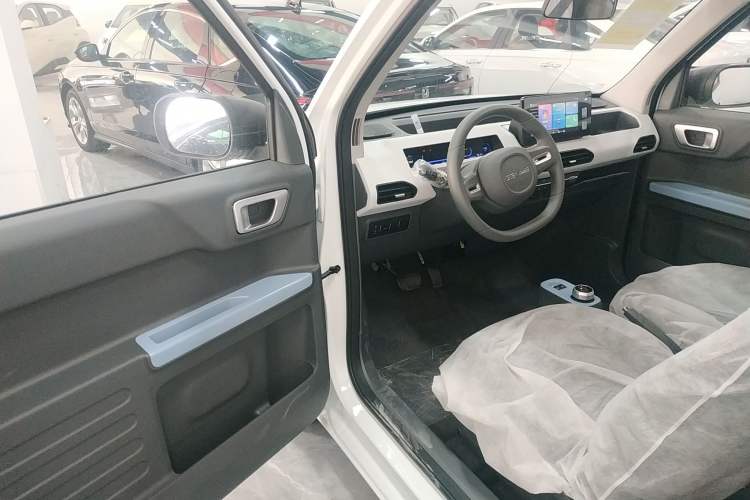 Used  Panda 2024 Panda Mini 200km Endurance Bear