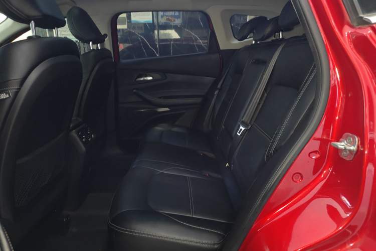 Used  TX 2019 1.6T Four-Wheel Drive Platinum Edition