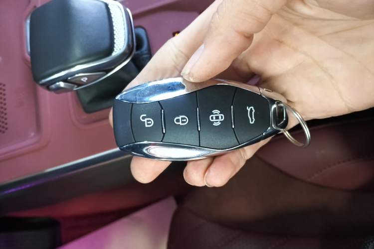 Used Hongqi HS5 2023 2.0T Four-Wheel Drive Flagship Pro Edition