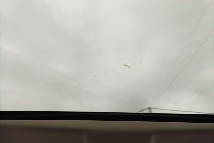 Used Land Rover Discovery Sport 2018 240 PS PURE Edition
