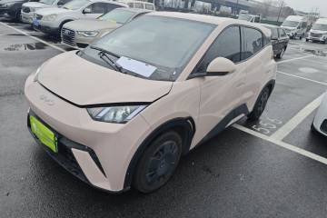 Used BYD Seagull 2024 Honor Edition 305km Dynamic Version