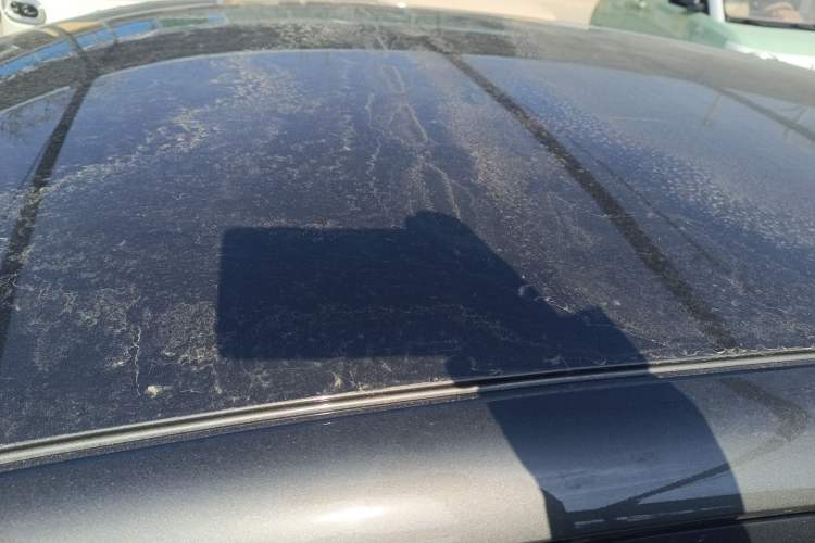 Used  Geome 2025 310km Youth Edition