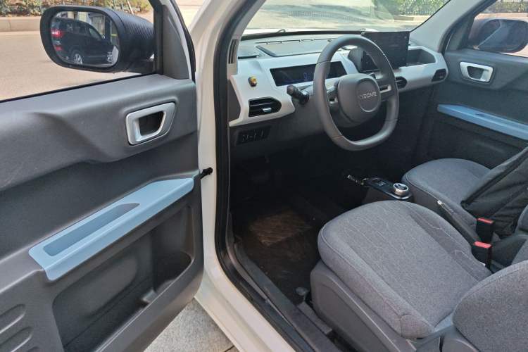 Used  Panda 2023 Panda Mini 200km Endurance Bear