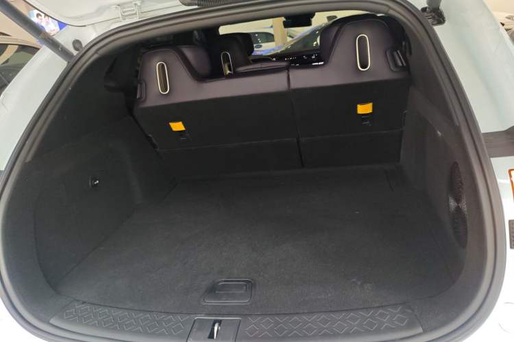 Used  07 2024 Pro+ All-Electric Version
