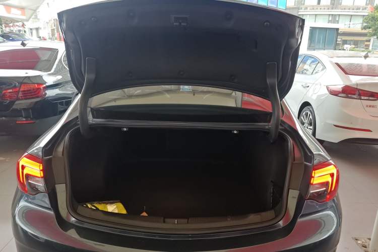 Used Buick Regal 2019 20T Elite Version China VI Standard
