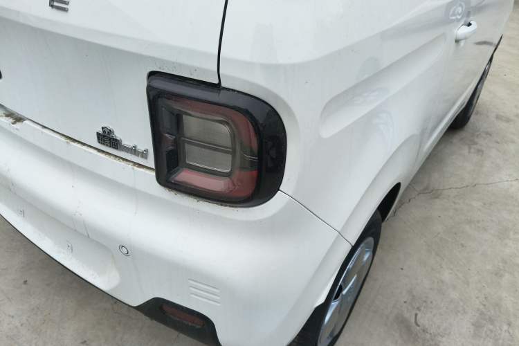 Used  Panda 2024 Panda Mini 200km Endurance Bear