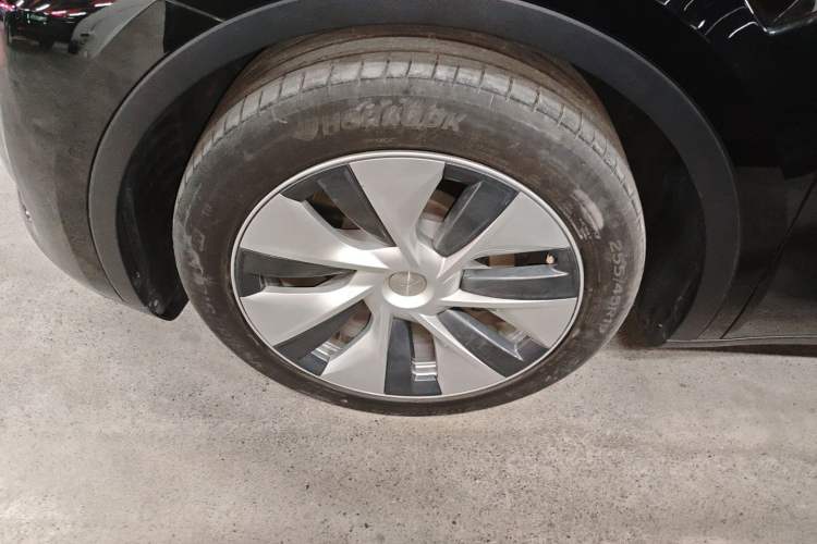 Used Tesla Model Y 2022 Rear-Wheel-Drive Version