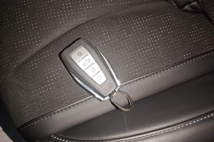 Used Geely Auto Monjaro L 2024 2.0TD High-Power Automatic Two-Wheel Drive Skyline Edition