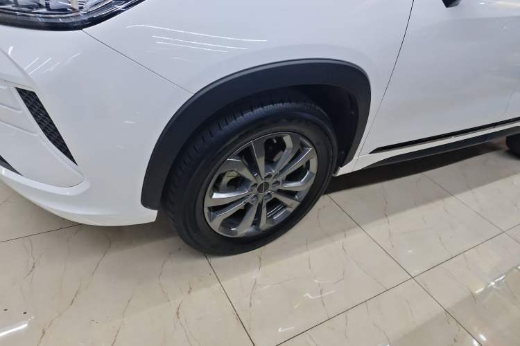 Used  Zhuifeng 2020 Chasing the Waves Edition 1.5T CVT Xingrui Version
