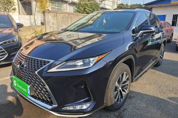 Used Lexus RX 2020 300 Two-Wheel Drive Elite Edition China VI Standard