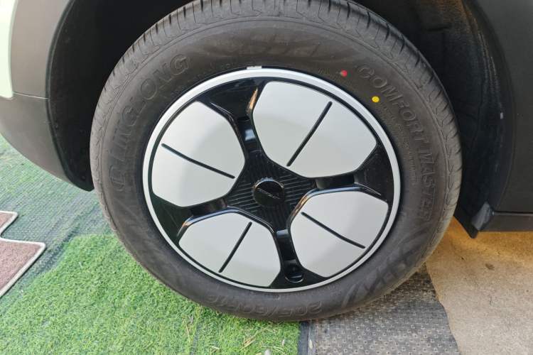 Used  Geome 2025 310km Youth Edition