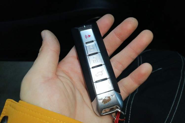 Used Wey VV7 2020 2.0T Flagship Edition
