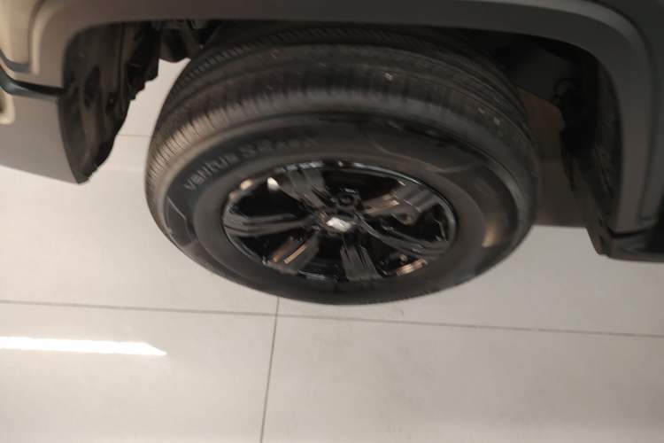 Used Tank 300 2024 2.0T Conqueror
