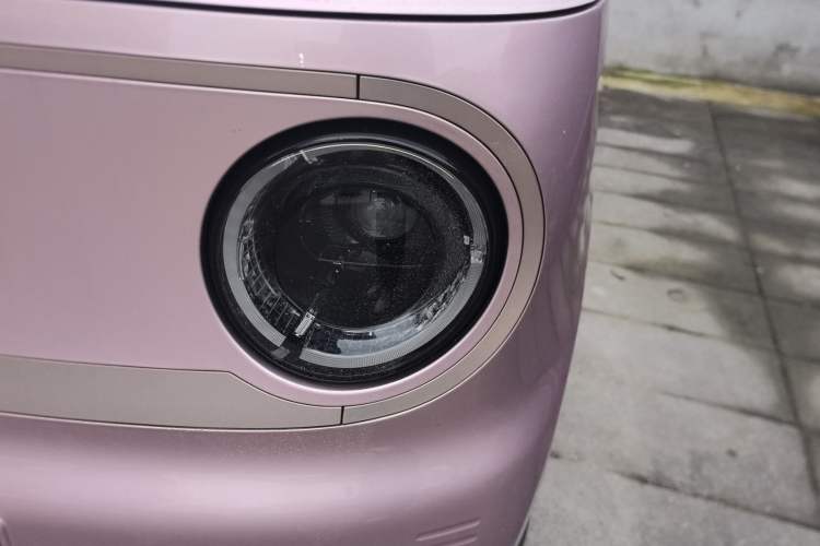 Used  Panda 2023 Panda Mini 200km Endurance Bear