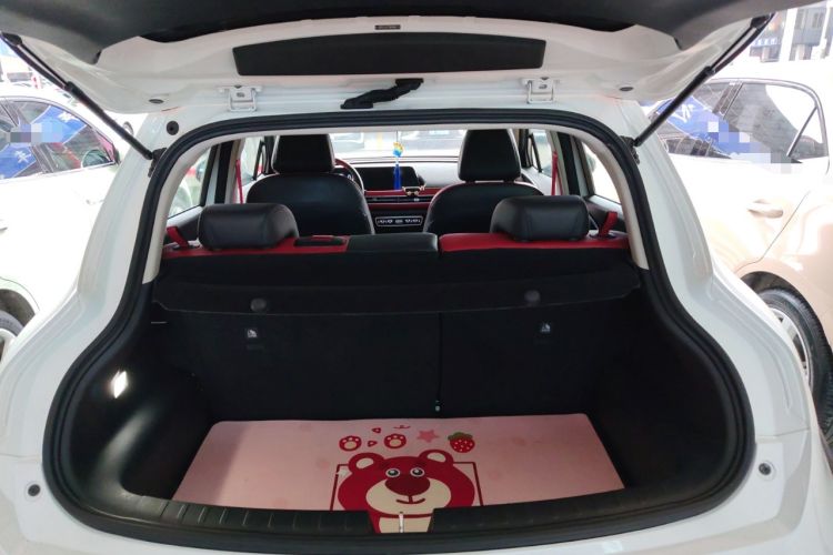 Used ORA Good Cat GT 2022 Mulan Edition 480km Long-Range续航
