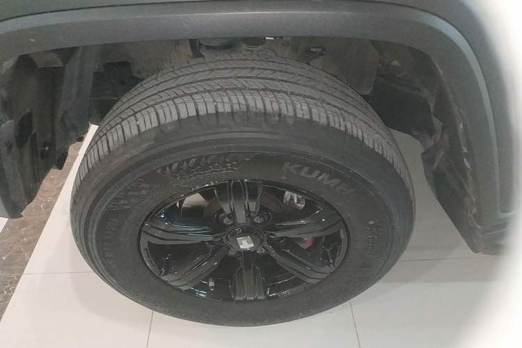 Used Tank 300 2024 2.0T Conqueror