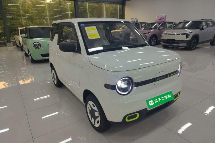 Used  Panda 2025 210 km – Yuanqi Bear
