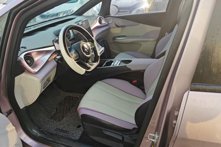 Used BYD Dolphin 2021 405 km Free Version
