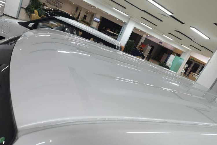 Used  Panda 2024 Panda Mini 200km Endurance Bear
