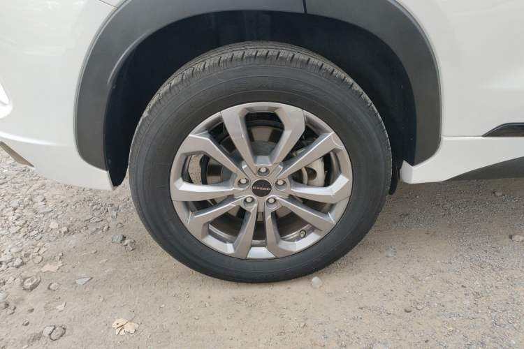 Used  Zhuifeng 2020 Chasing the Waves Edition 1.5T CVT Xingrui Version
