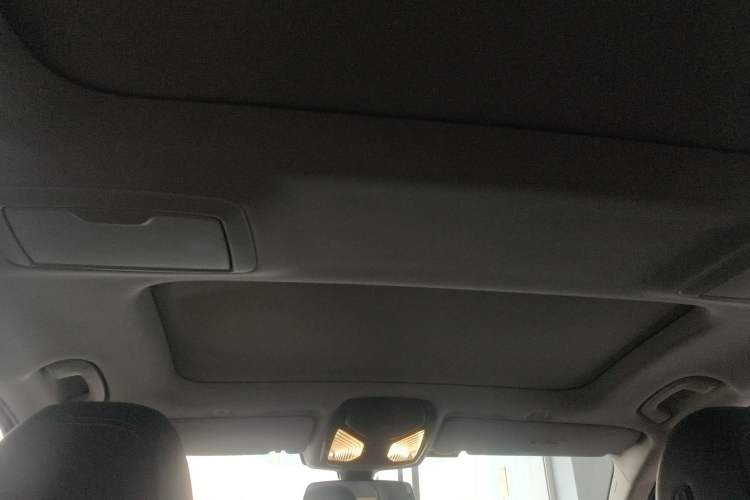 Used BMW 5 Series New Energy 2020 530Le Luxury Package
