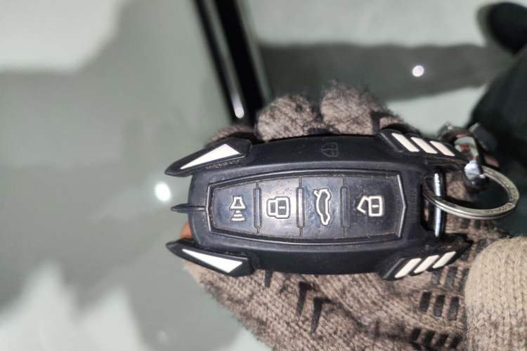 Used Haval DARGO 2021 2.0T DCT 4x4 Chinese Rural Dog Edition
