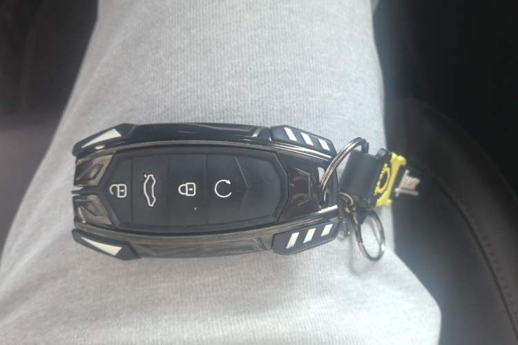 Used Chery Tiggo 8 PRO 2024 Champion Edition 390T Two-Wheel Drive Peak Version 7 Seats