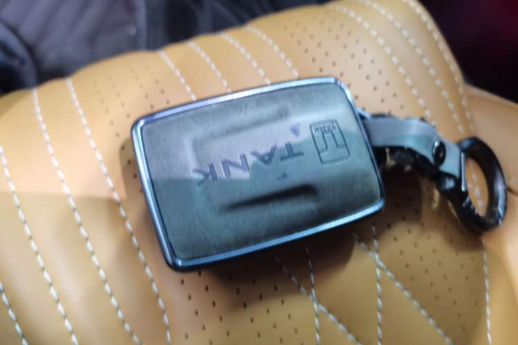 Used Tank 500 New Energy 2023 Hi4-T
