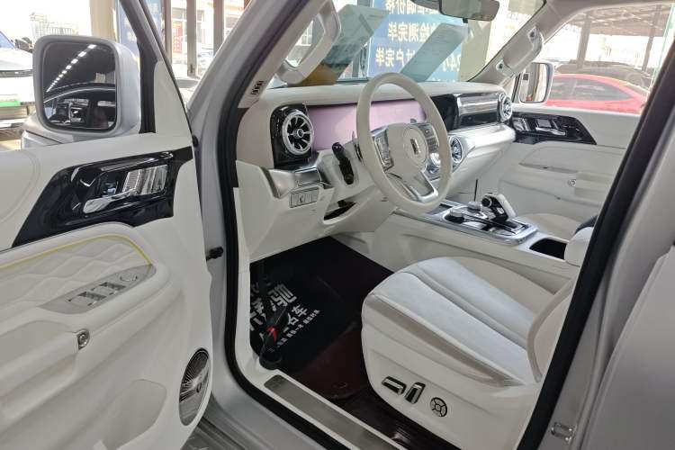 Used  Tank 300 2021 2.0T Cyber Tank
