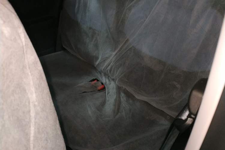 Used  Panda 2024 Panda Mini 200km Endurance Bear
