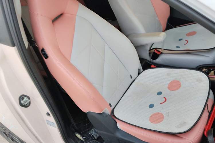 Used Chery Little Ant 2022 Revised Version Sweet Pink Edition Half-Sugar Version Lithium Iron Phosphate 30.7 kWh 30 kW 301 km
