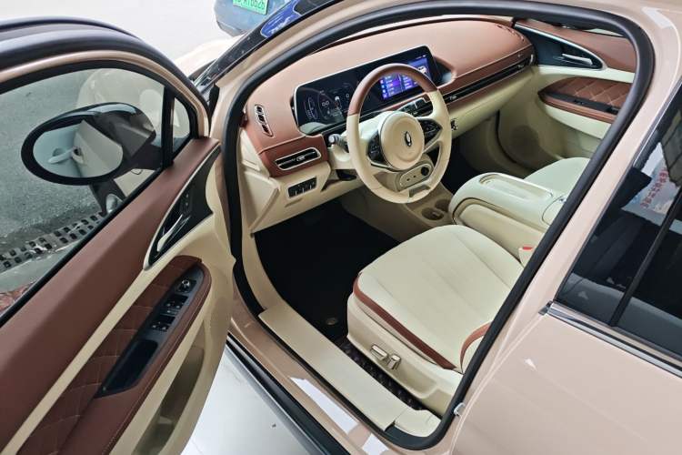 Used ORA Good Cat 2023 401 km Standard Range Luxury Version Lithium Iron Phosphate