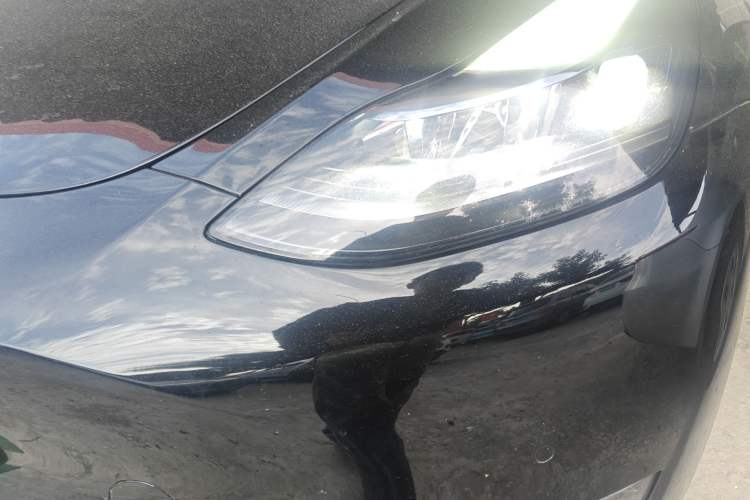 Used Tesla Model Y 2021 Standard Range Rear-Wheel Drive Version
