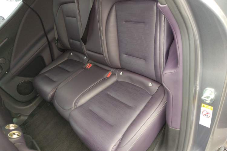 Used  07 2024 Max Extended-Range Edition
